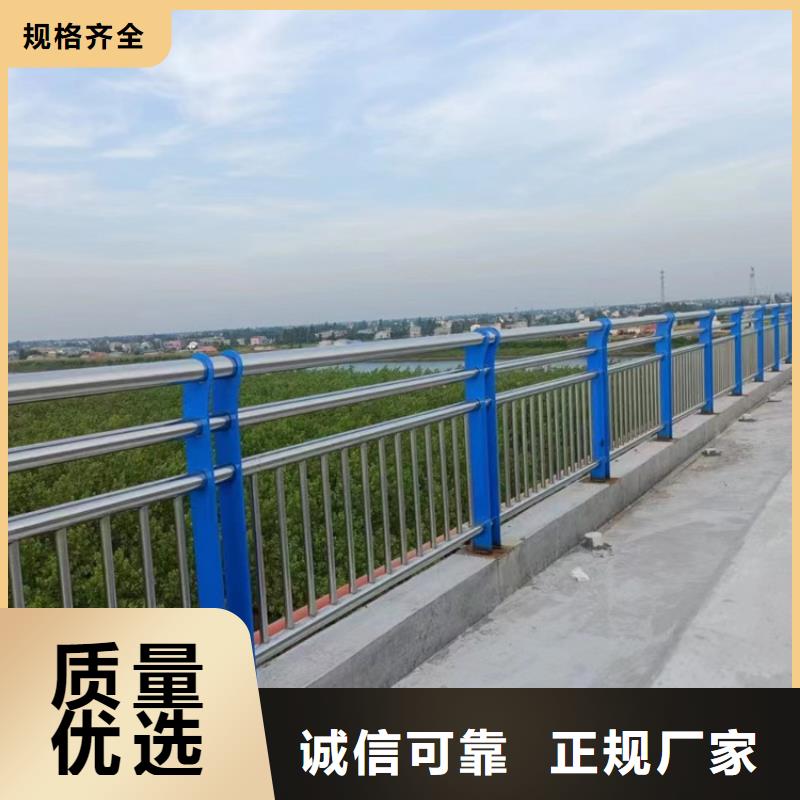 安徽咨询公园不锈钢防撞隔离护栏款式可定制