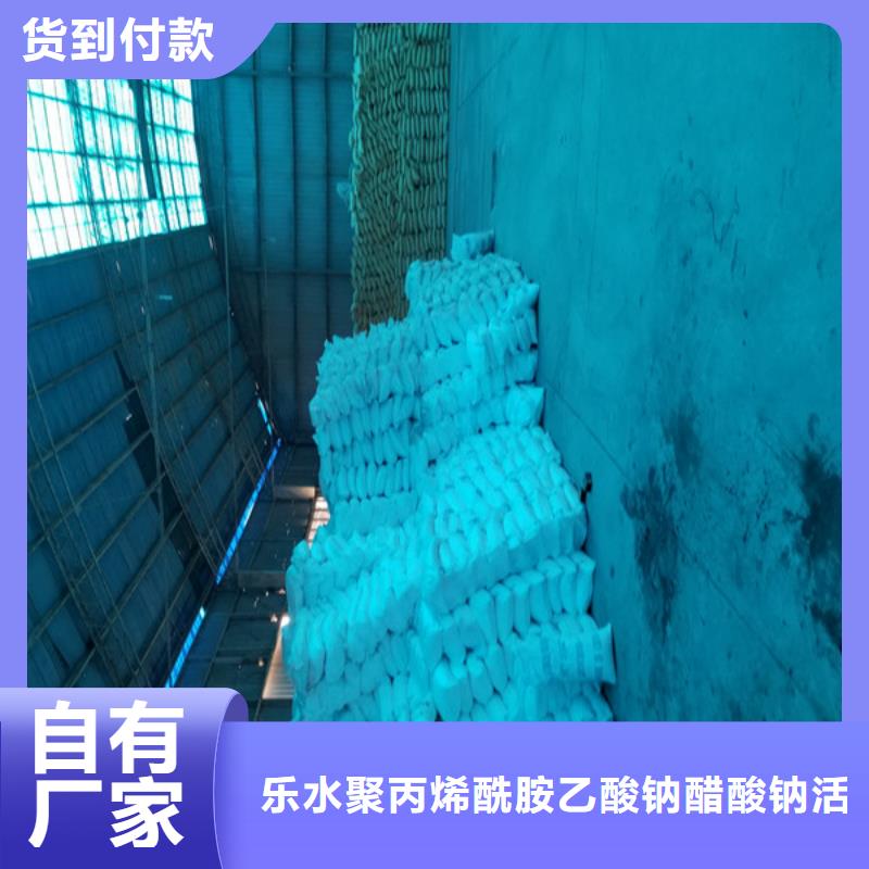 乙酸钠粉状活性炭高标准高品质