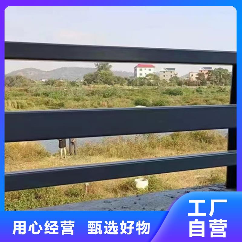 景区镀锌钢索护栏-全国发货