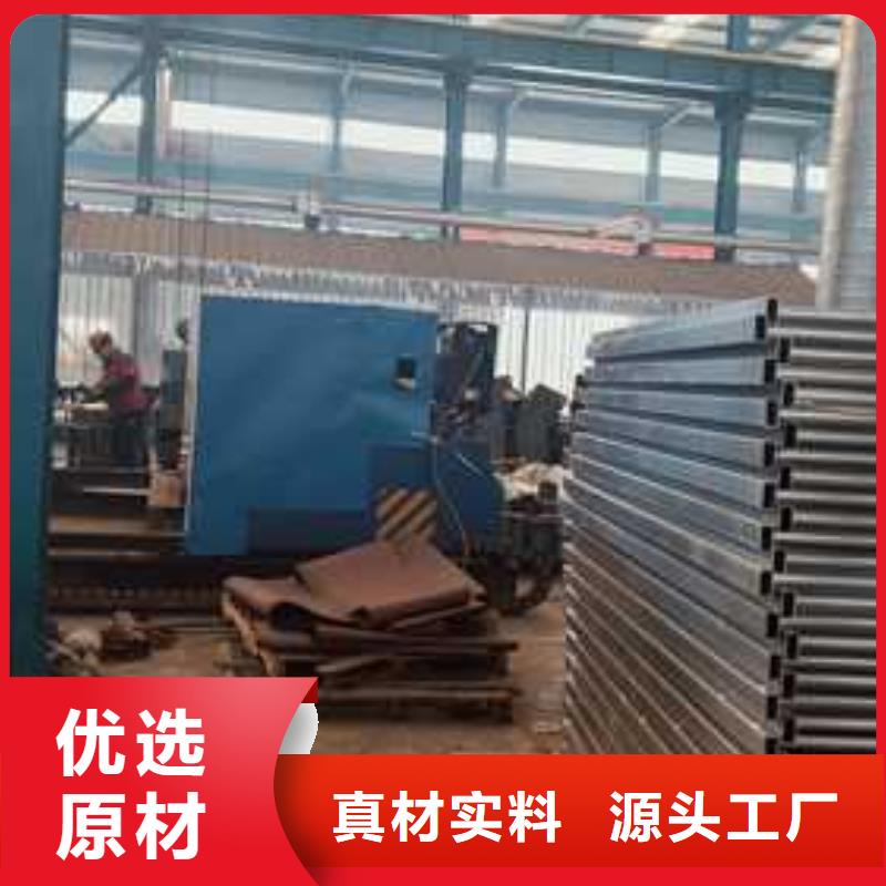 景观护栏-【防撞桥梁护栏】品质保障售后无忧