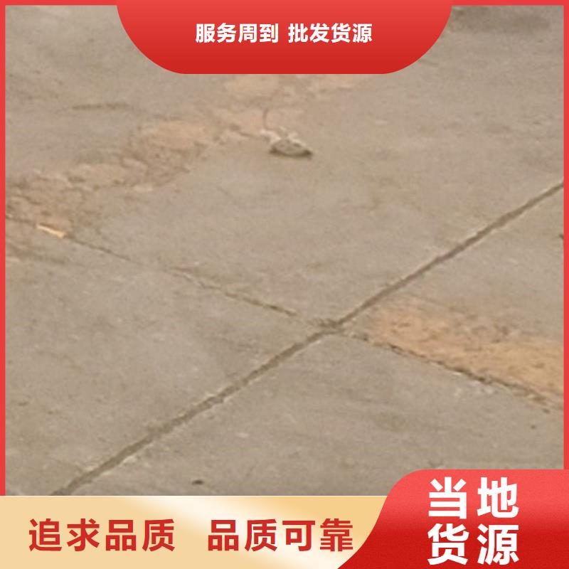 道路防撞护栏有现货