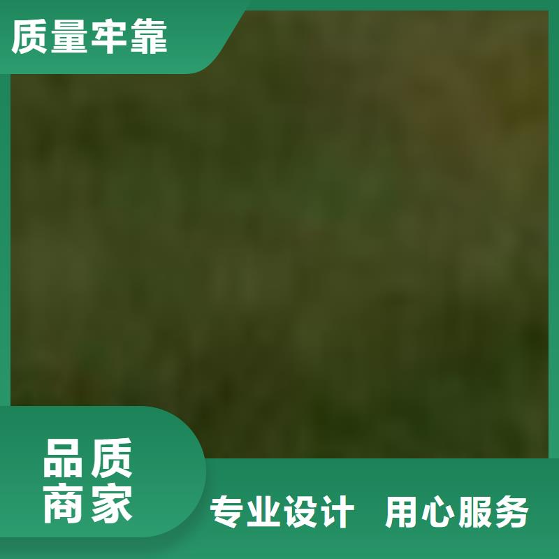 定制桥防撞护栏