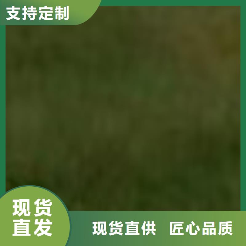 护栏有实力有经验