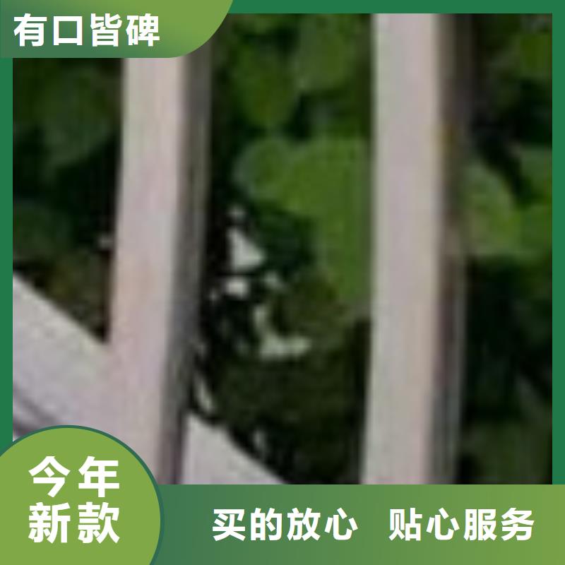 【护栏-【热镀锌立柱】现货采购】