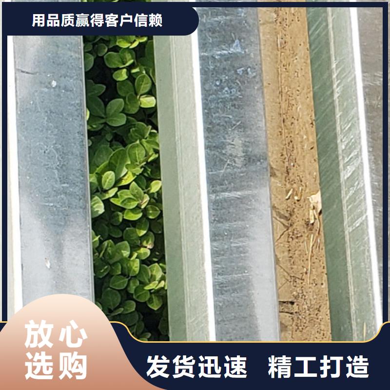  护栏专业生产品质保证