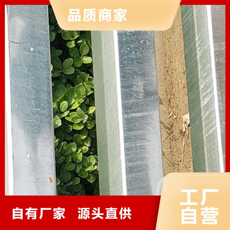 质量优的防撞栏杆厂家