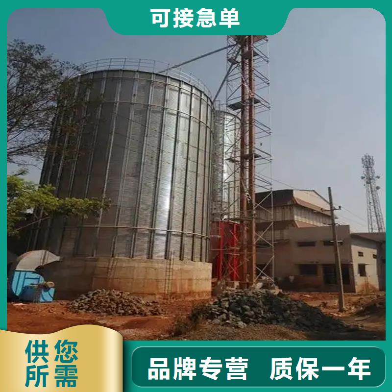 定制大型立式粮食储存仓_诚信厂家