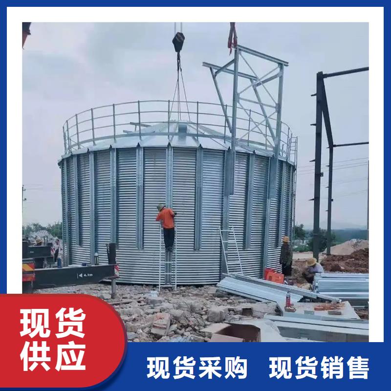 大型立式粮食筒仓厂家批发