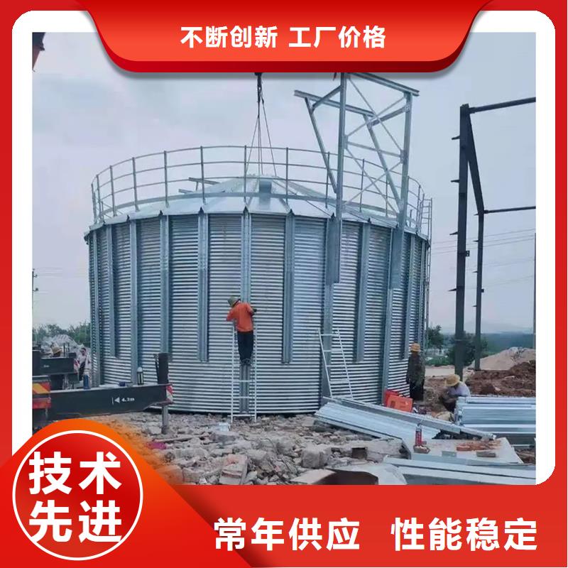 200吨玉米仓储筒仓咨询享优惠