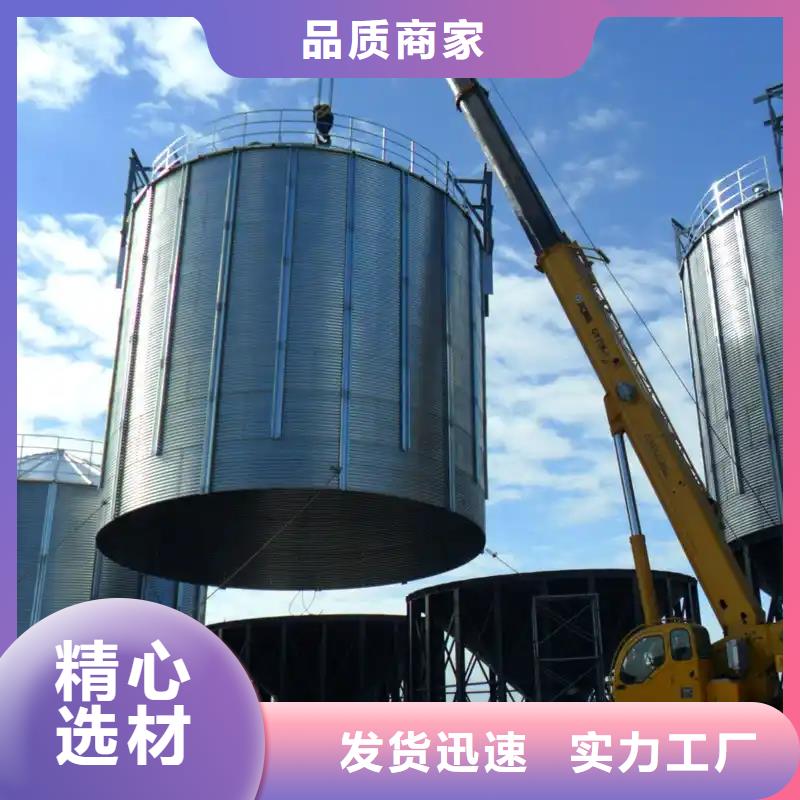 可按需定做大型立式粮食储存仓的厂家