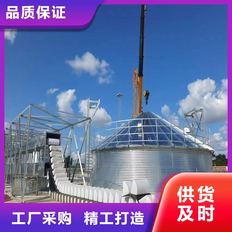 大米立筒仓-高质量大米立筒仓
