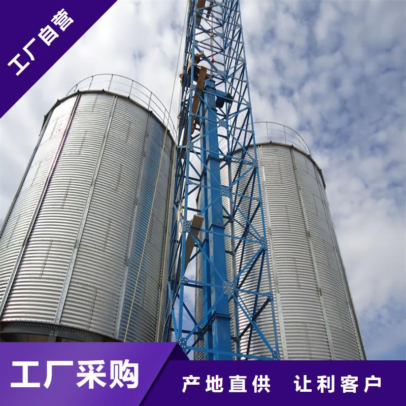 玉米豆类钢板仓工艺先进