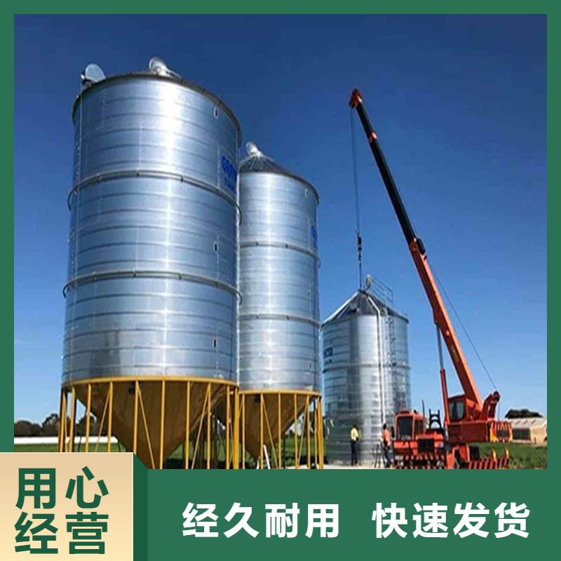 装配式粮仓立筒仓现货直销厂家