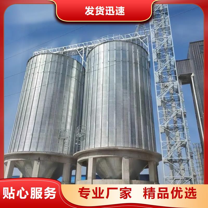 定制大型立式粮食储存仓_优质厂家