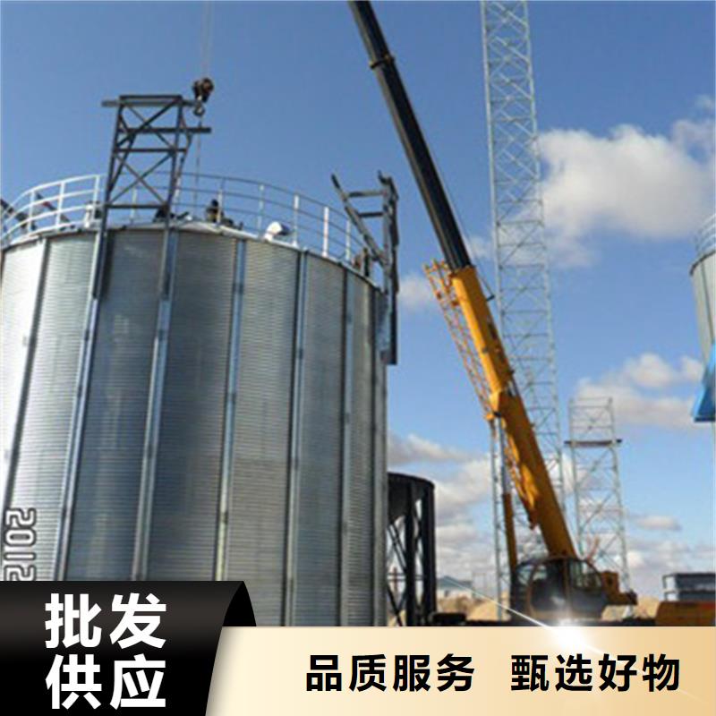 大型立式粮食筒仓生产厂家-型号齐全