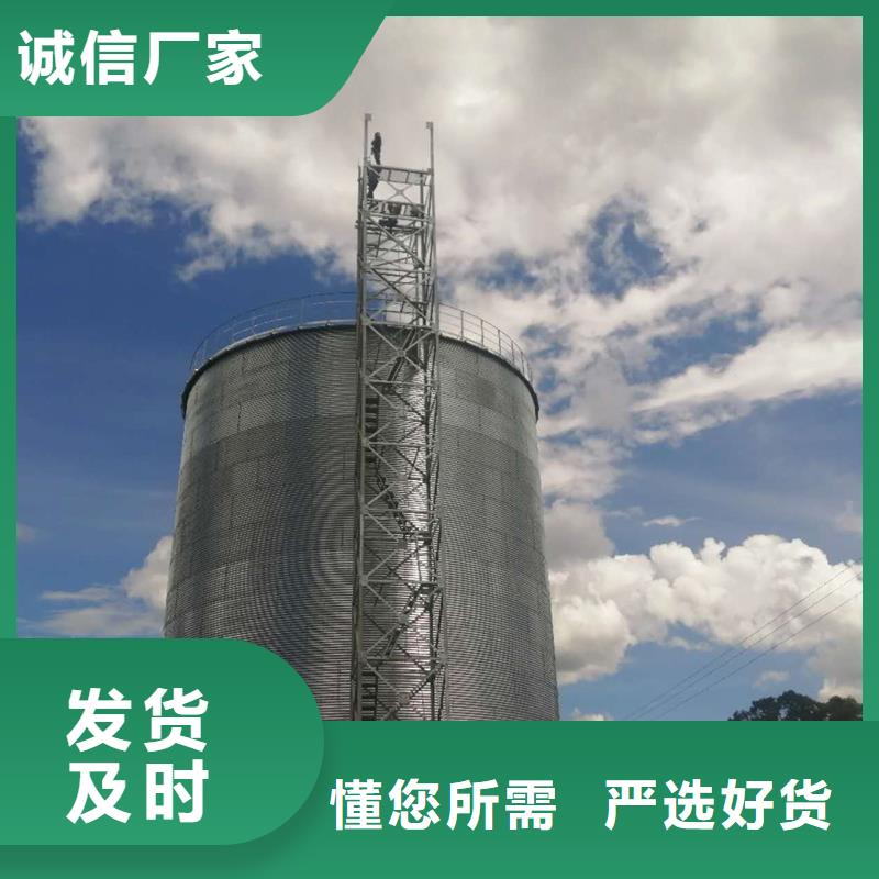 大型立式粮食储存仓正规厂家生产
