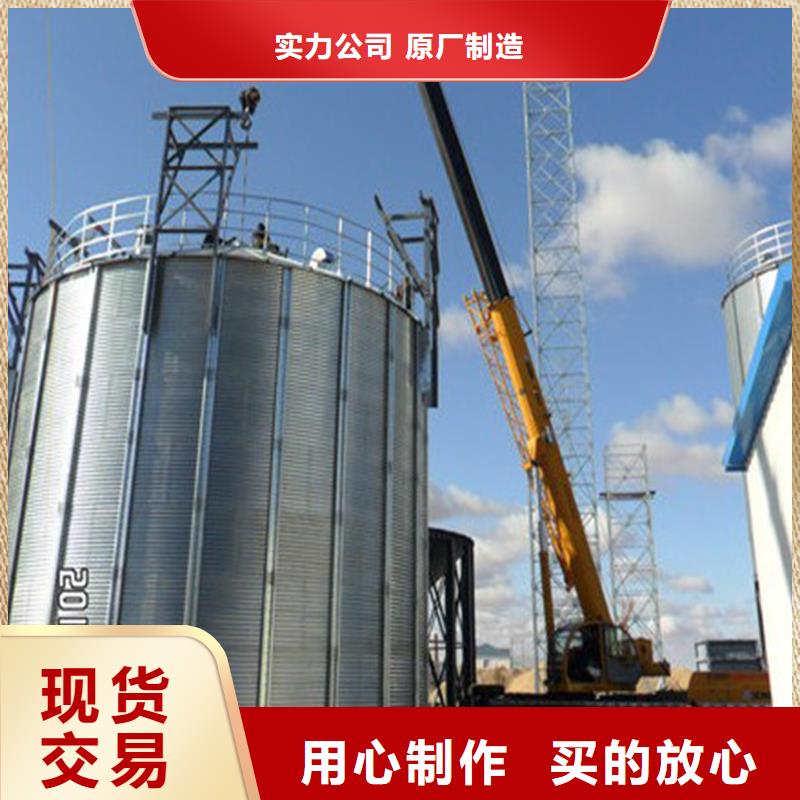 经验丰富的大型立式粮食储存仓生产厂家