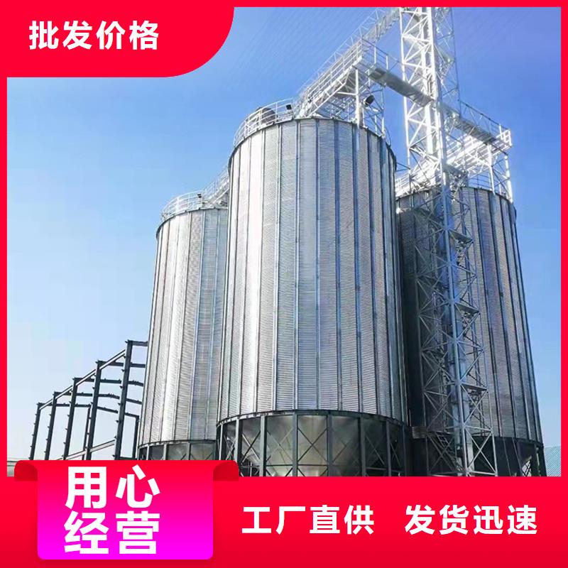 大型立式粮食筒仓厂家实地货源