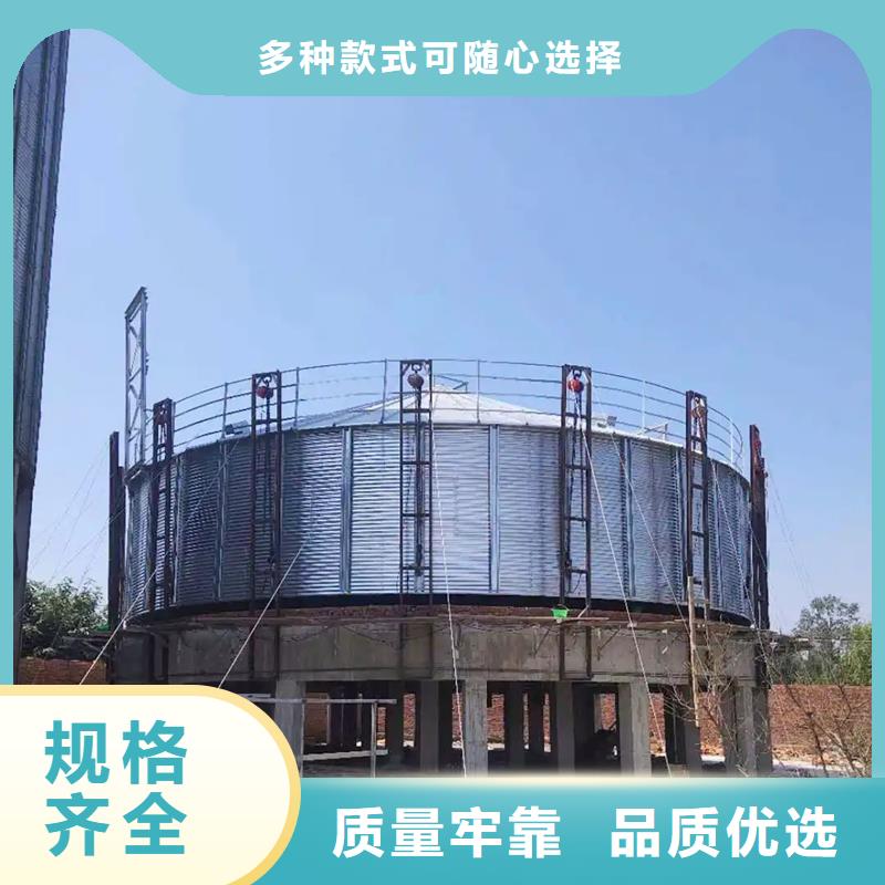 装配式粮食钢板仓_可定制