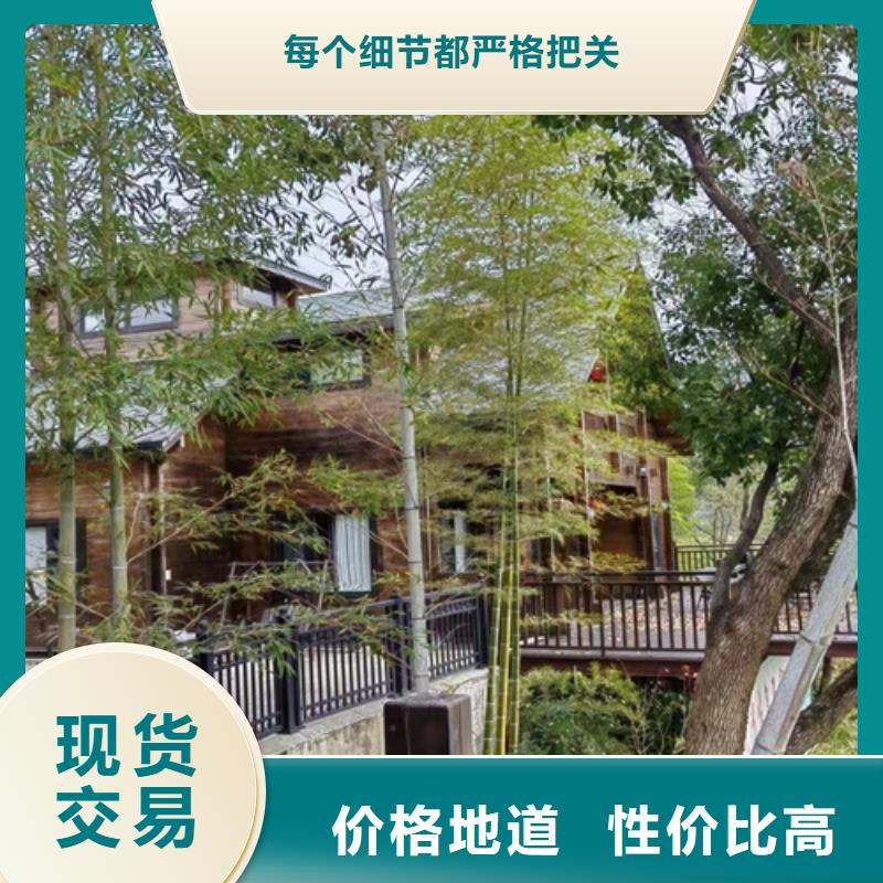 农村轻钢自建别墅型号齐全定制造价