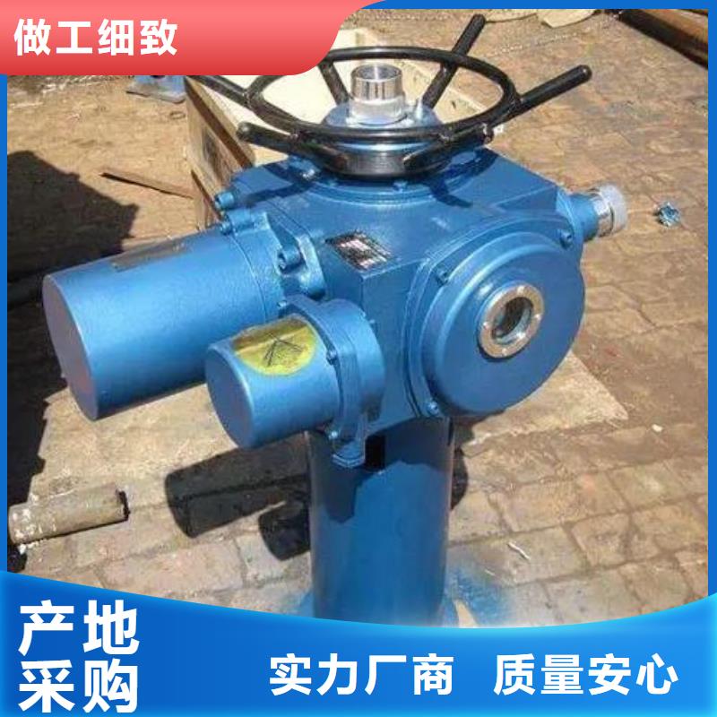 【螺杆启闭机 钢制拍门厂家一件也发货】