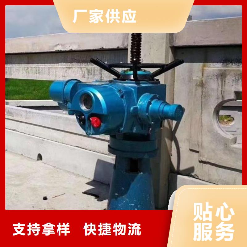 【螺杆启闭机 钢制拍门厂家一件也发货】