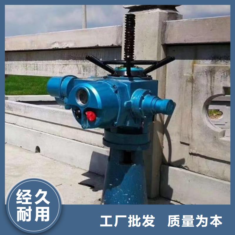 QDA-5电动头启闭机厂家价格