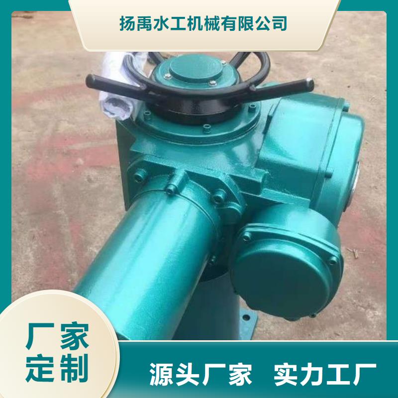  螺杆启闭机用心制作
