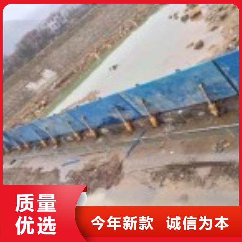  翻板闸门厂家直销货源充足