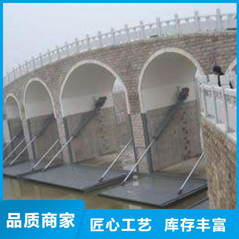 翻板闸门种类丰富