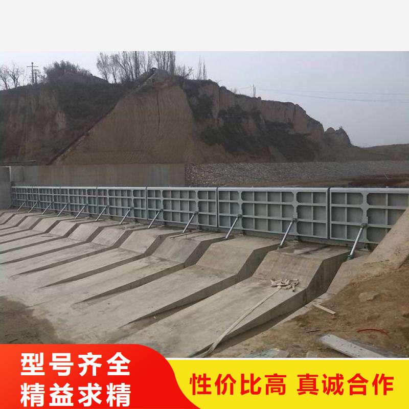 【翻板闸门-螺杆启闭机无中间商厂家直销】