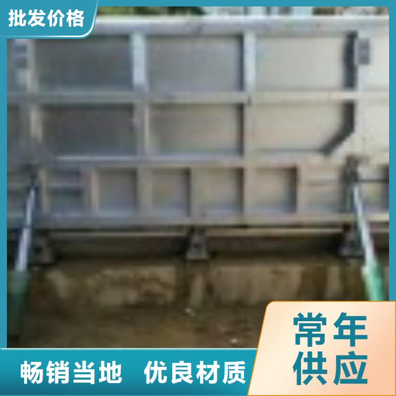 翻板闸门铸铁闸门专业设计