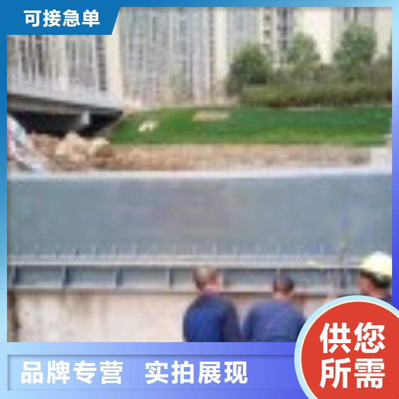翻板闸门铸铁闸门专业设计