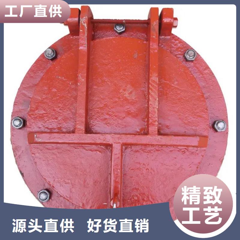 拍门【钢制拍门厂家】通过检测