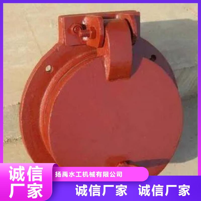  拍门厂家案例