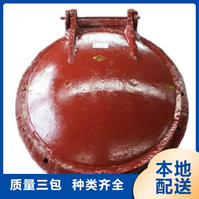 【拍门机闸一体式闸门好品质选我们】