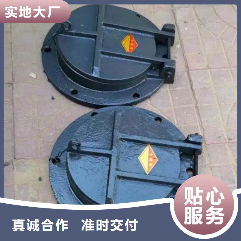 【拍门】-钢制拍门厂家用好材做好产品