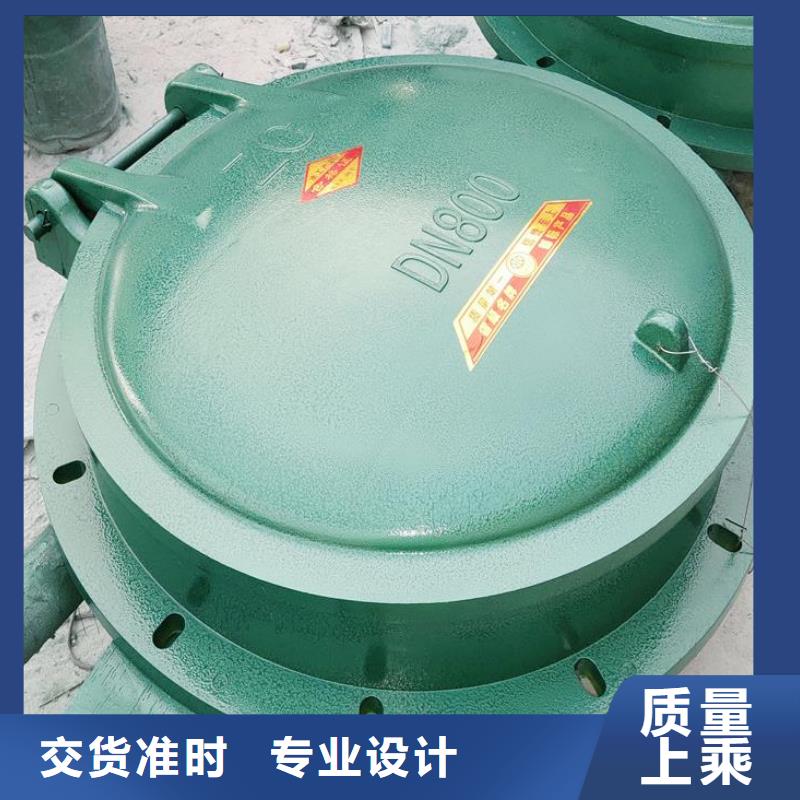 拍门 卷扬启闭机售后服务完善