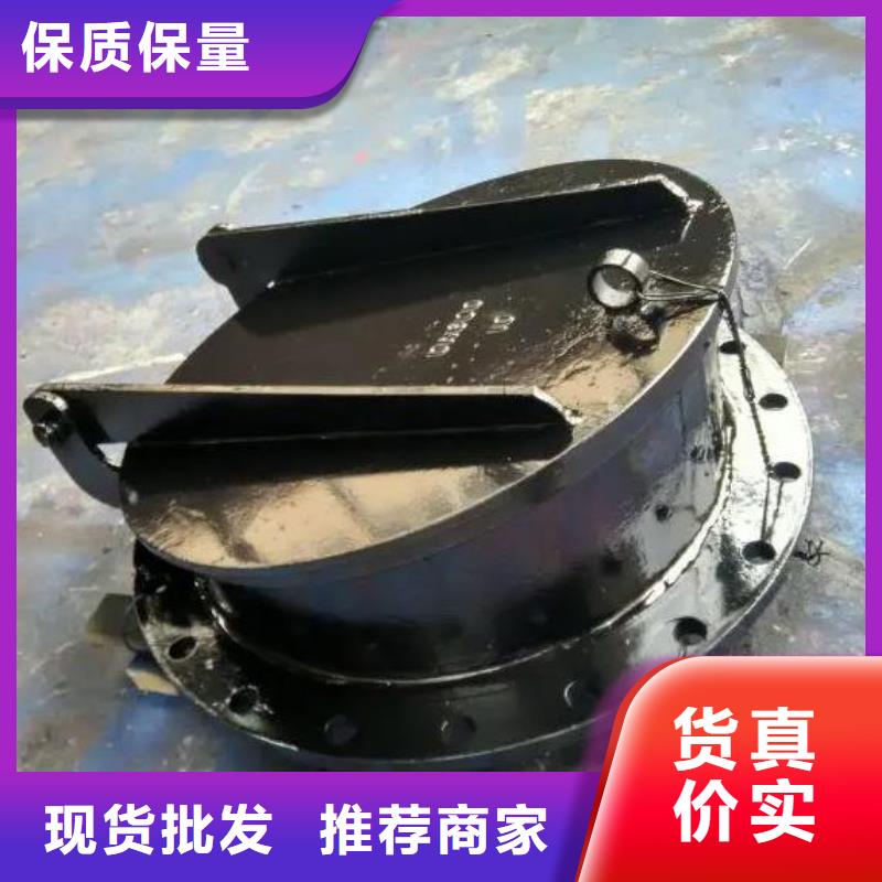 拍门-铸铁拍门产品优势特点