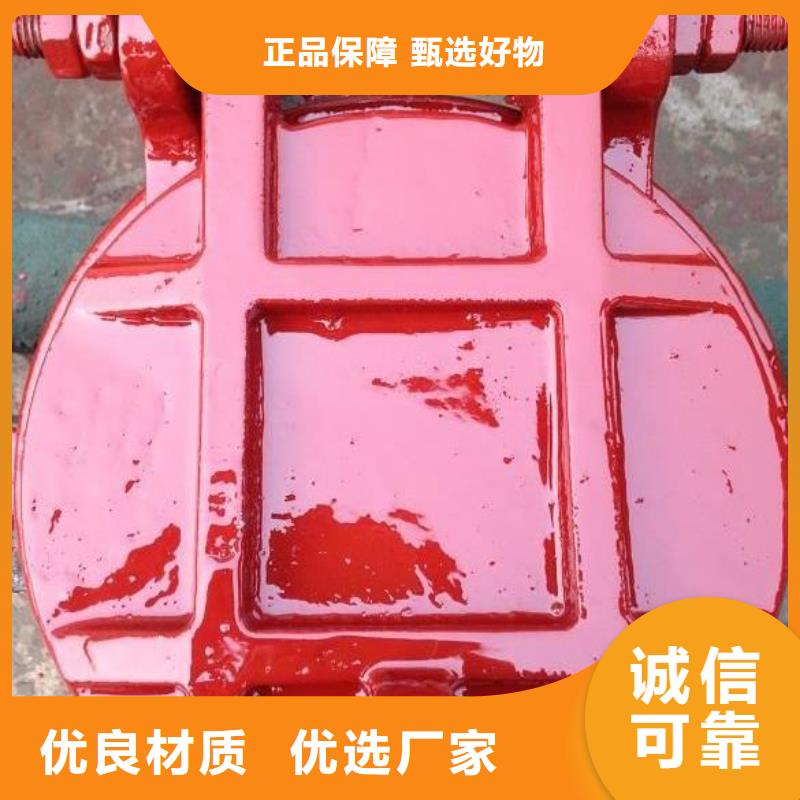 【拍门铸铁闸门常年供应】