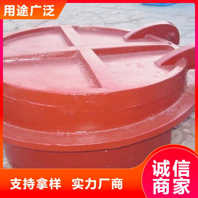 【拍门钢制拍门厂家精心选材】