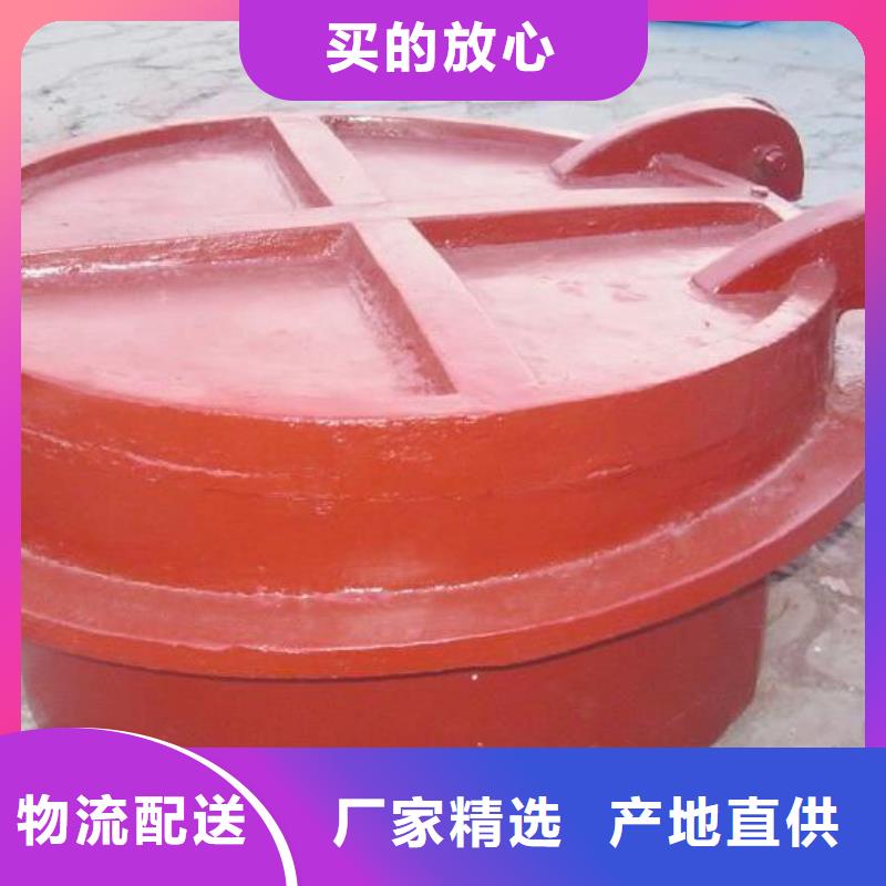 拍门球墨铸铁闸门厂家直营
