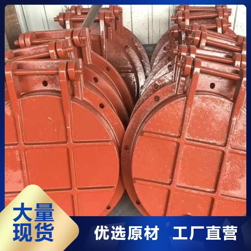 拍门钢制闸门产地批发