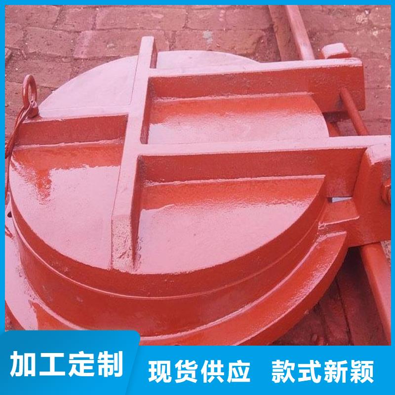 拍门 启闭机随心所欲定制