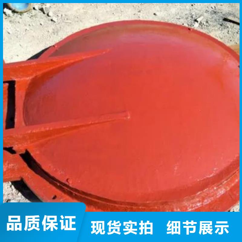 拍门_景观钢闸门产品优势特点