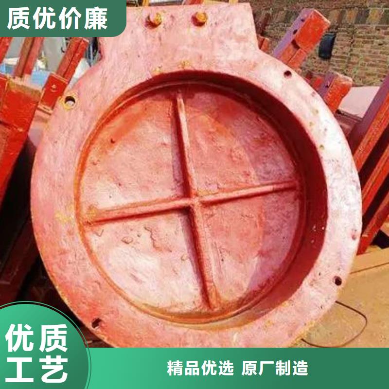 拍门,拦污栅源头厂家供应