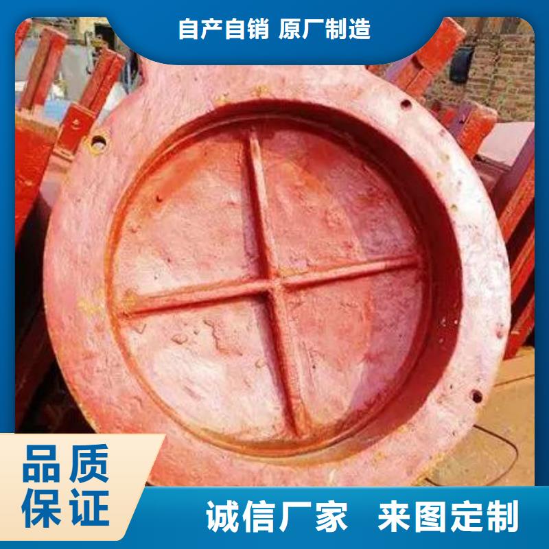 拍门卷扬启闭机厂家严格把控质量