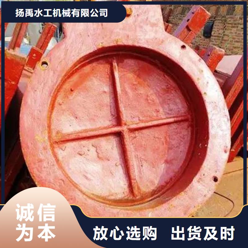 【拍门拦污栅真材实料加工定制】