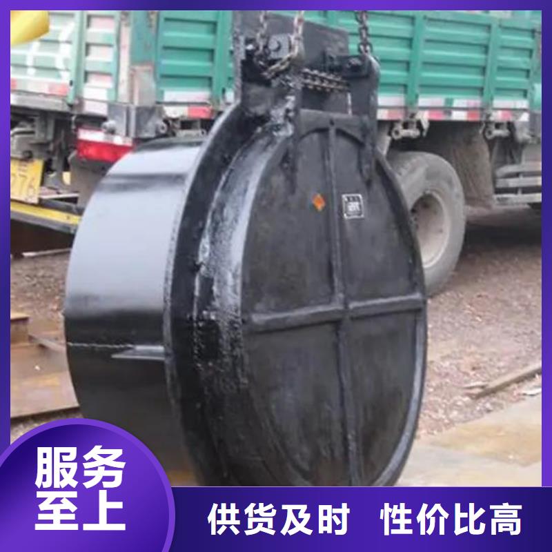 拍门铸铁拍门专业生产N年