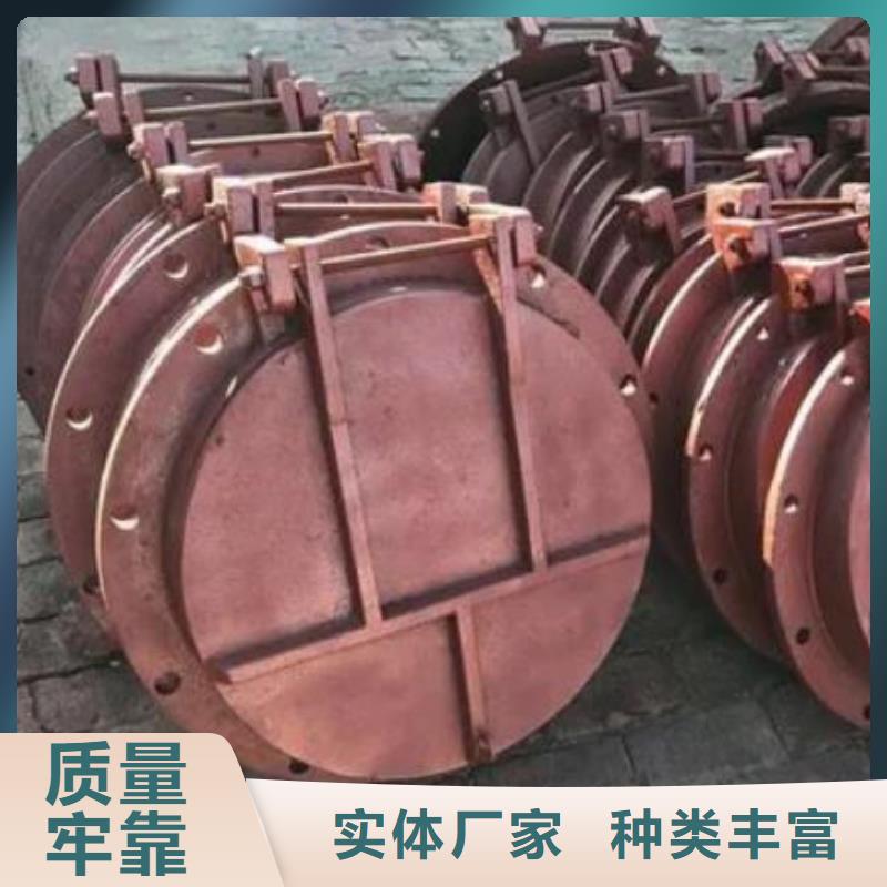 拍门卷扬启闭机厂家N年大品牌